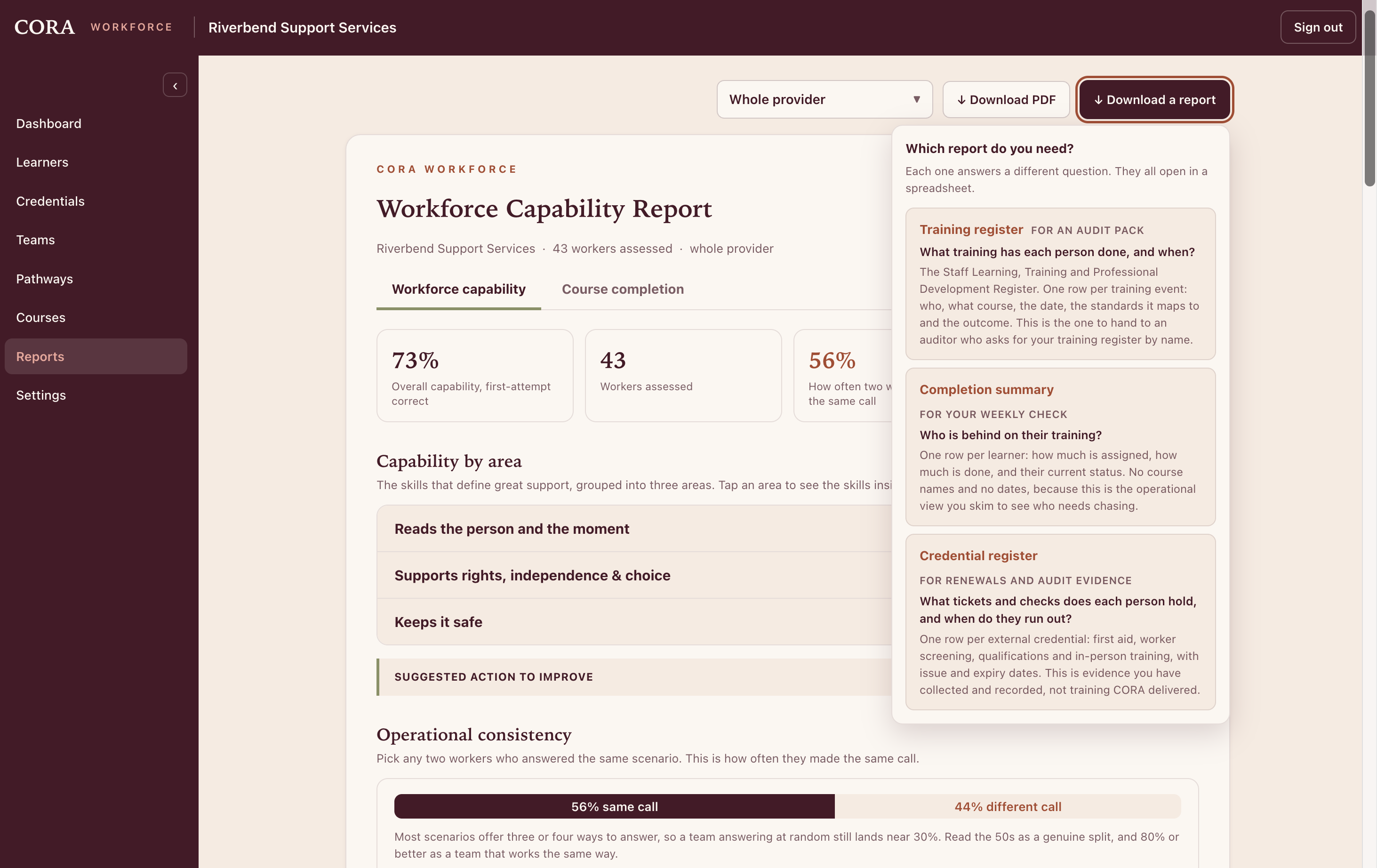 CORA Workforce Capability Report showing overall capability, workers assessed and capability by area.